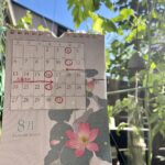 8月　定休日のお知らせ