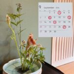 ９月　定休日のお知らせ
